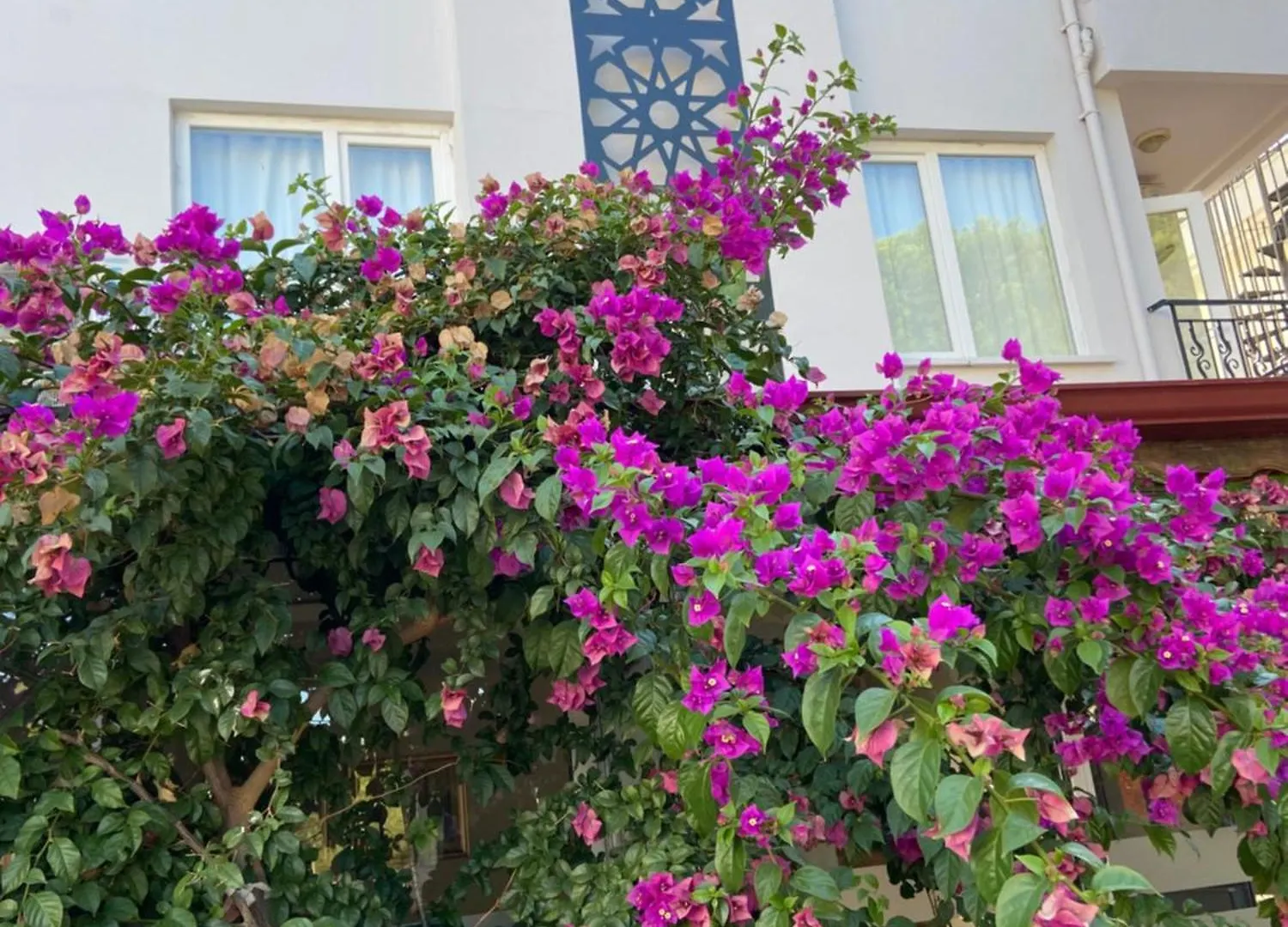 Serenity Suites Hotel Antalya